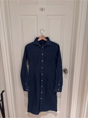 Polo by Ralph Lauren Timeless Denim Dress